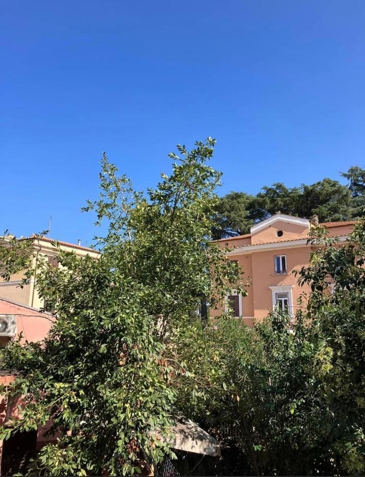 Casa Di Vivi, Comoda Per Il Centro, Il Vaticano Ed Il Gemelli Roma Exterior foto
